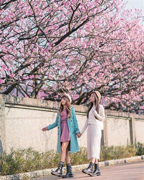 Cherry blossoms at 42 Pingjing Street | Taipei Travel