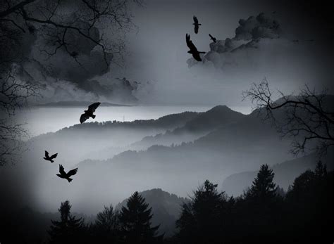 Dark Crow Wallpapers - Top Free Dark Crow Backgrounds - WallpaperAccess