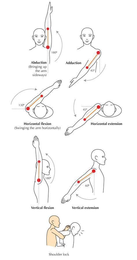 upper extremity range of motion chart anatomical terms - Google Search ...