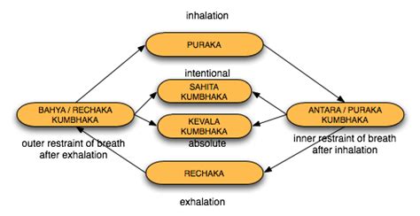 paige duke tattoos: inhalation and exhalation diagram