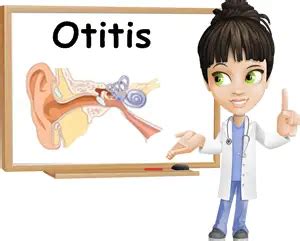 Internal otitis – NatureWord