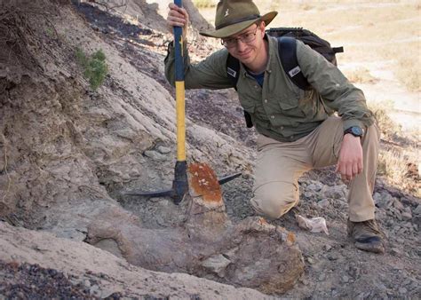 Asymmetrical Dinosaur Skull Discovery Turns Paleontology Assumptions on Their Head