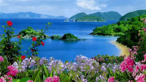 Beautiful Scenery Ocean View Mountains Rocks Plants Colorful Flowers HD Scenery Wallpapers | HD ...