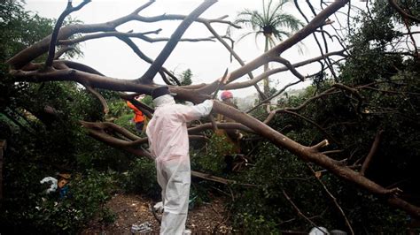 Tropical Storm Isaias strengthens into hurricane, lashes Puerto Rico, targets US East Coast ...