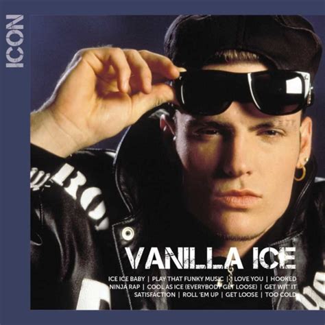 Vanilla Ice - Icon Series: Vanilla Ice (CD) - Walmart.com