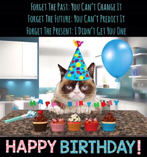 Grumpy Cat Birthday | Grumpy cat birthday, Happy birthday cat, Happy ...