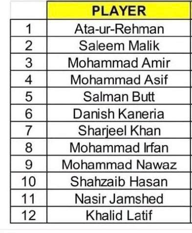 Pakistan Squad for the 2022 T20 WC : r/PakCricket