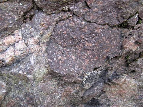 Alluvial polymict conglomerate (Mount Rogers Formation, Ne… | Flickr