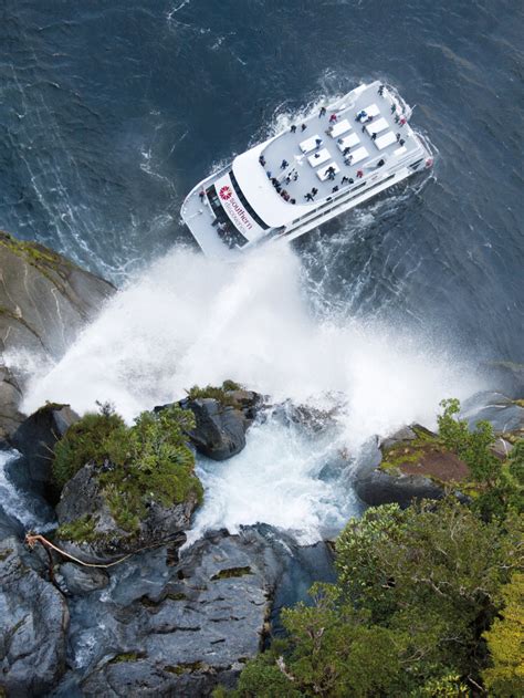 Southern Discoveries - Milford Sound Nature Cruise » VisitorPoint