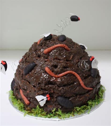 Cow patty cake with flies, worms and dung beetles - Frosted Bake Shop ...