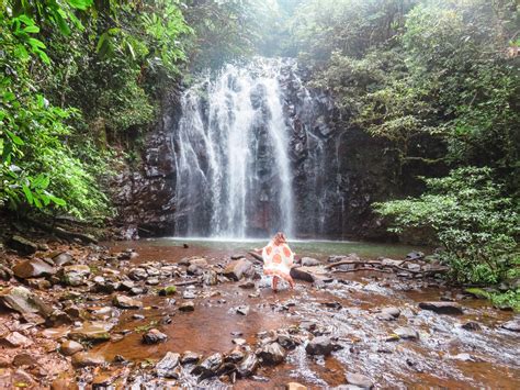 Chasing 3 of the Best Waterfalls Around Cairns • The Bliss Movement