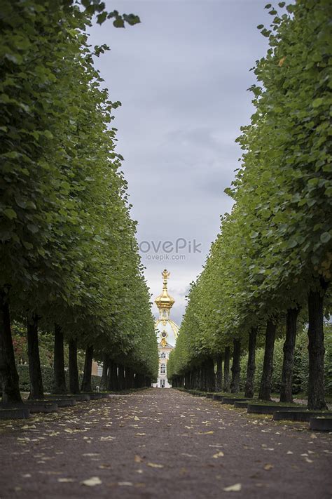 Summer Palace Garden Picture And HD Photos | Free Download On Lovepik