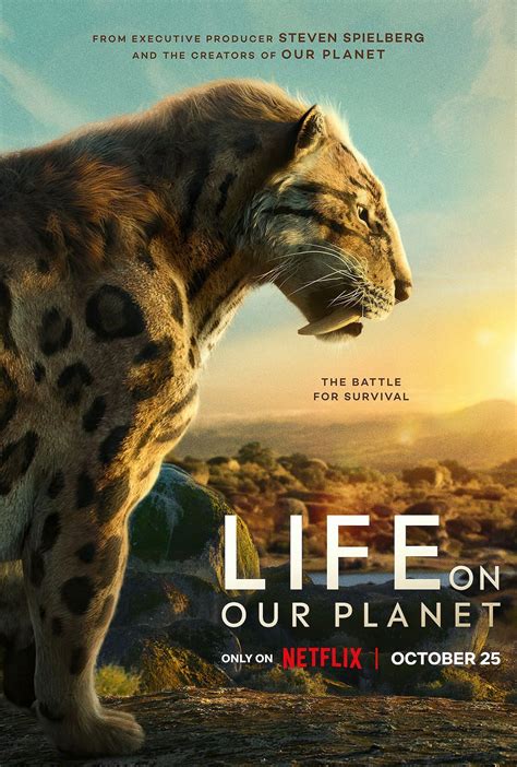 Life on Our Planet on Netflix: Release date, trailer, and more