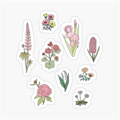 various flowers stickers on a white background