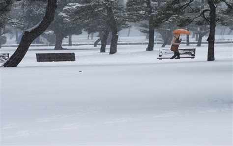 Pictures: Rare Heavy Snowfall Hits Tokyo - Business Insider