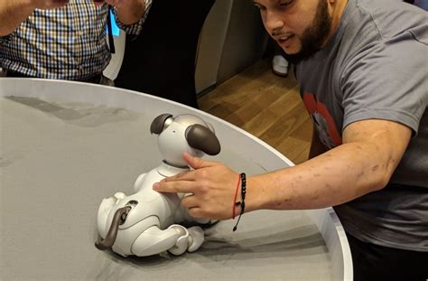 Sony's AI-Enhanced Aibo Robot Dog Coming to the US | PCMag