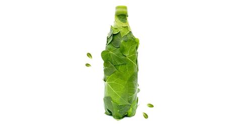 Biodegradable Water Bottles Market: Charting a Sustainable Future by 2028 | FMI - FMIBlog