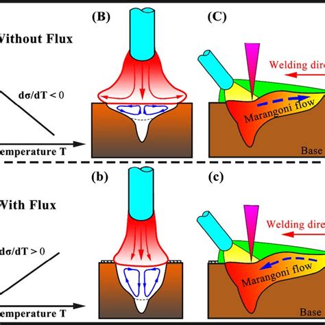 Mechanism of surface tension affecting Marangoni flow with different... | Download Scientific ...