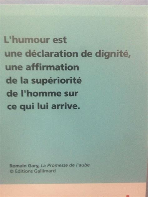 Romain Gary Quotes. QuotesGram