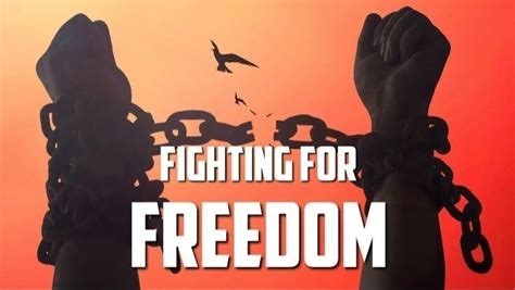 Petition · The Fight for Freedom: How Human Hights Become a Global ...