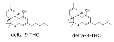 What is Delta 8? | How Delta 8 is Different from CBD