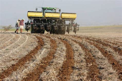 What is Strip Tillage: Benefits and Examples – GrowerExperts