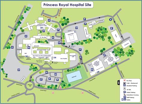 Having a Bronchoscopy - University Hospitals Sussex NHS Foundation Trust