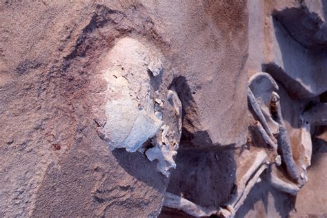 42,000 Years Old Mungo Man ѕkeɩetoп, The Oldest Human Remains Found In ...