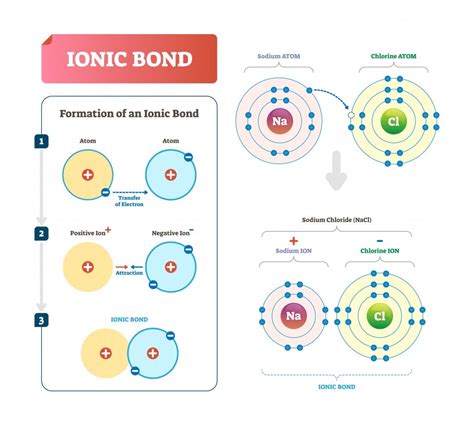 Diatomic Molecules: Definition, Explanation And Examples