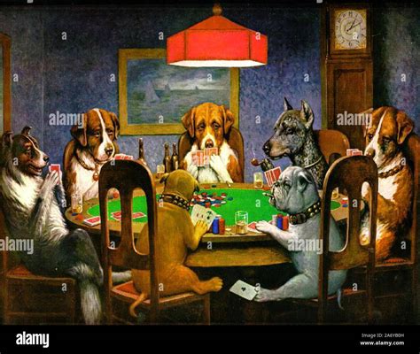 dogs playing poker Stock Photo - Alamy