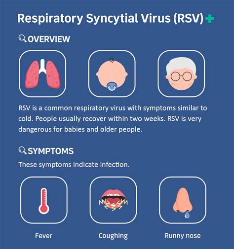 2024 Rsv Symptoms - Megan Sibylle