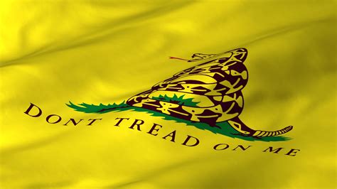 Don't Tread On Me Flag Wallpapers - Top Free Don't Tread On Me Flag ...