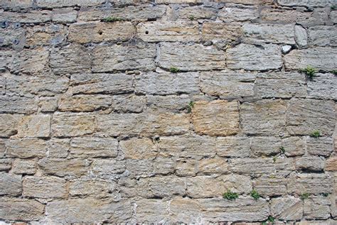 Free Medieval stone wall texture 3 Stock Photo - FreeImages.com