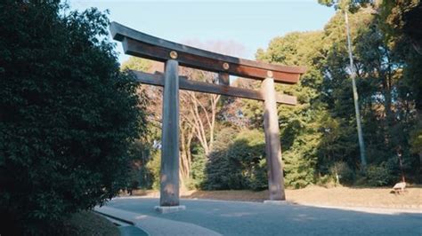 Torii Gate Meiji Jingu Shrine Shibuya Stock Footage Video (100% Royalty ...