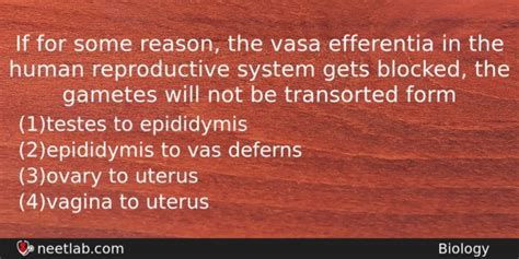 If for some reason, the vasa efferentia in the human reproductive system gets blocked - NEETLab