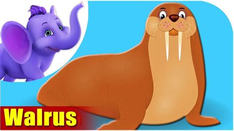 Animal Songs for Kids - Walrus song - YouTube | Kids nursery songs ...