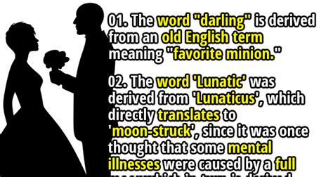 Weird Words Origins of these 35 Words Will Make Your Family Laugh - Fact Republic