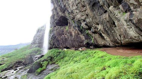 Harishchandragad Trek To Take This Monsoon: TripHobo