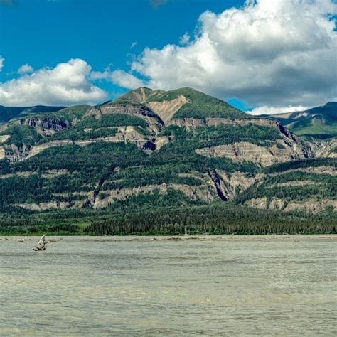 Glacier View Campground McCarthy Alaska & Glacier View Grill