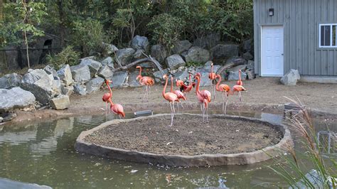 The Maryland Zoo in Baltimore | The Cultural Landscape Foundation