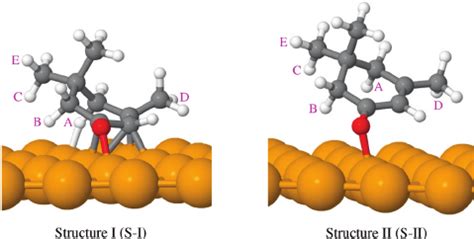 (a) Structure of the isolated isophorone molecule. The possible ...