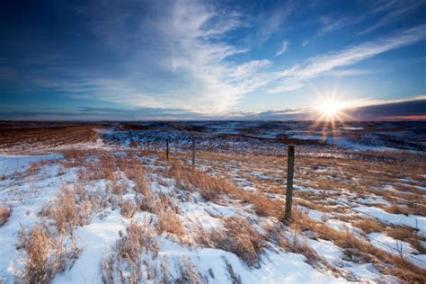 Saskatchewan Winter Landscape Stock Photos, Pictures & Royalty-Free Images - iStock