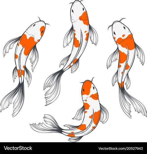 Koi fish set Royalty Free Vector Image - VectorStock