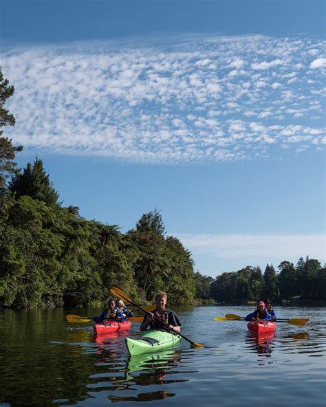 SHORE EXCURSION: Scenic Lake McLaren Kayak Tour - Waimarino Group Reservations