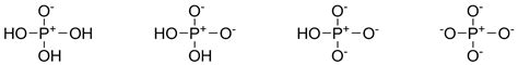 inorganic chemistry - Help in drawing resonance structures in case of polybasic acids ...