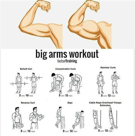 HugeDomains.com | Big arm workout, Gym workout chart, Arm workout