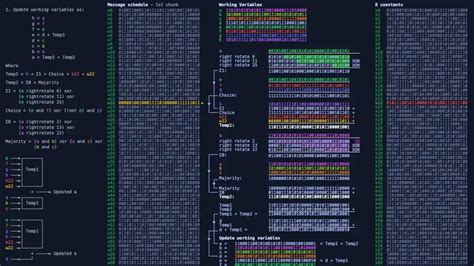 SHA-256 Unmasked: Deciphering Cryptographic Hash Functions - NETWORK ...