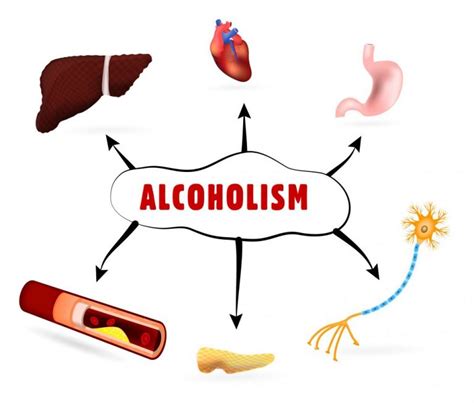 How Does Alcohol Affect The Reproductive System? | STD.GOV Blog