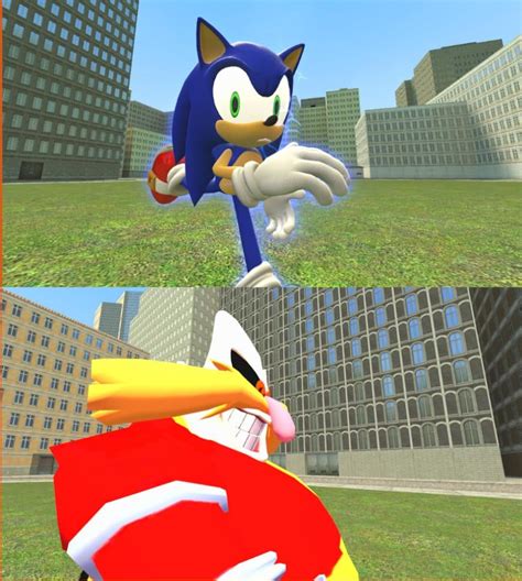 Meme format featuring Sonic The Derphog! (Use with credit!) : r/SMG4