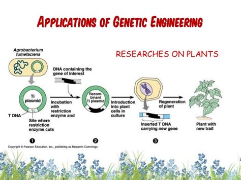 Genetic Engineering and Biotechnology